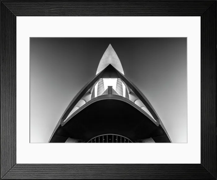 Framed Print : Infrared view of the Opera House, Ciudad de los artes y ciencias (City of Arts and Sciences), Valencia, Spain