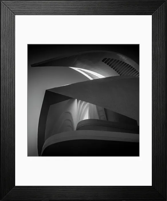 Framed Print : Infrared view of the Opera House, Ciudad de los artes y ciencias (City of Arts and Sciences), Valencia, Spain Framed Print : Infrared view of the Opera House, Ciudad de los artes y ciencias (City of Arts and Sciences), Valencia, Spain