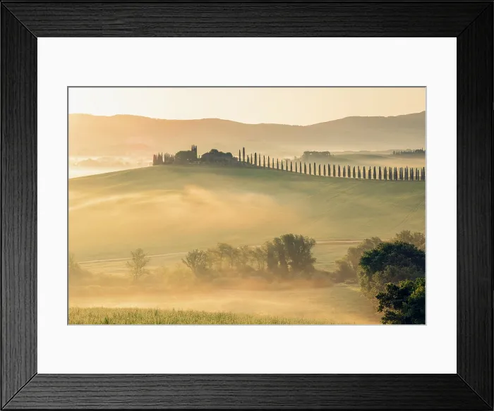 Framed Print : Poggio Covili and avenue of cypress trees at dawn, Val d'Orcia, near San Quirico d'Orcia, Tuscany, Italy Framed Print : Poggio Covili and avenue of cypress trees at dawn, Val d'Orcia, near San Quirico d'Orcia, Tuscany, Italy