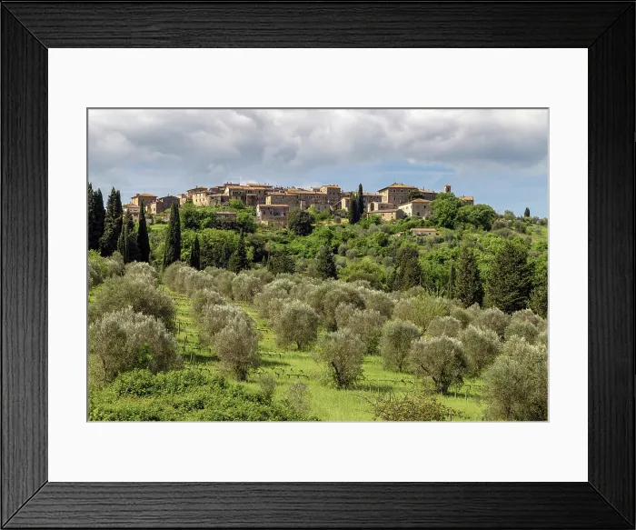 Framed Print : Olive trees and Castelnuovo dell'Abate, Montalcino, Tuscany, Italy Framed Print : Olive trees and Castelnuovo dell'Abate, Montalcino, Tuscany, Italy