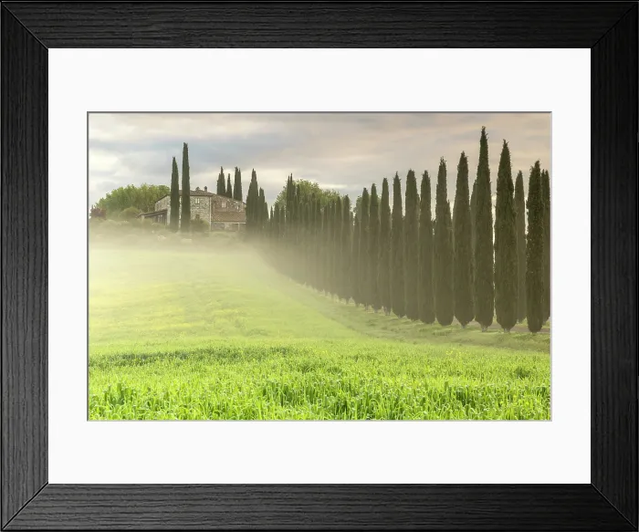 Framed Print : Poggio Covili and avenue of cypress trees in mist, Val d'Orcia, near San Quirico d'Orcia, Tuscany, Italy Framed Print : Poggio Covili and avenue of cypress trees in mist, Val d'Orcia, near San Quirico d'Orcia, Tuscany, Italy