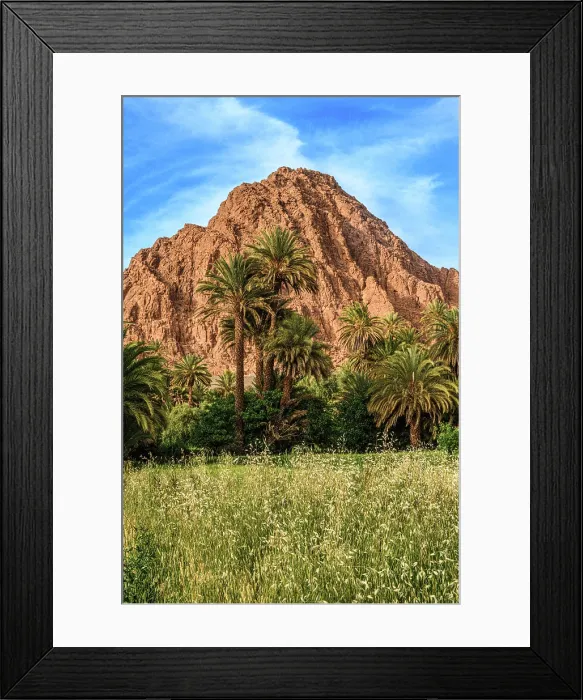 Framed Print : Date palms and farmland in the Todra Gorge, Tinghir, Tinghir, Morocco