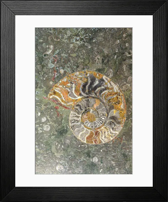 Framed Print : Macro Fossiles Kasbah, Sahara factory, Erfoud, Errachidia, Morocco Framed Print : Macro Fossiles Kasbah, Sahara factory, Erfoud, Errachidia, Morocco
