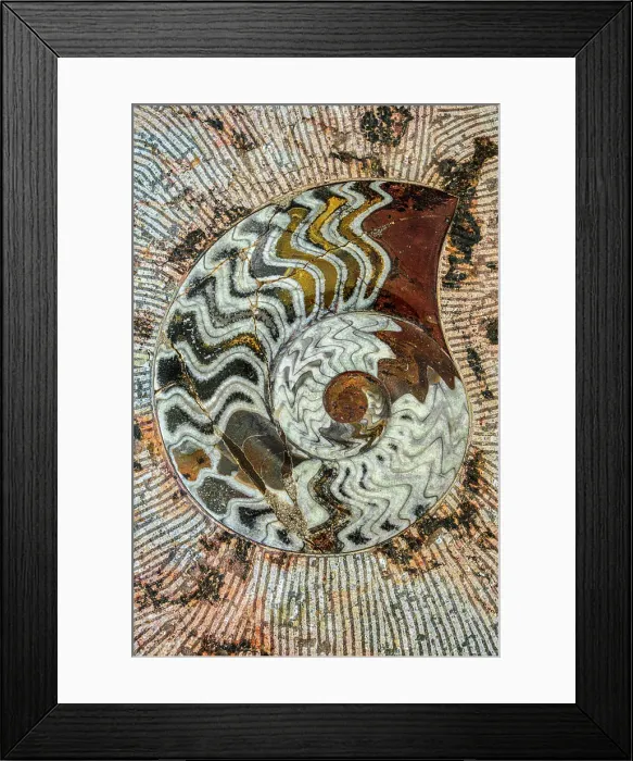 Framed Print : Macro Fossiles Kasbah, Sahara factory, Erfoud, Errachidia, Morocco Framed Print : Macro Fossiles Kasbah, Sahara factory, Erfoud, Errachidia, Morocco