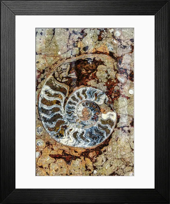 Framed Print : Macro Fossiles Kasbah, Sahara factory, Erfoud, Errachidia, Morocco Framed Print : Macro Fossiles Kasbah, Sahara factory, Erfoud, Errachidia, Morocco