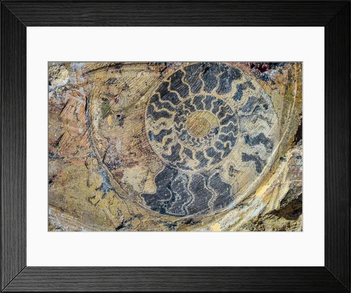 Framed Print : Macro Fossiles Kasbah, Sahara factory, Erfoud, Errachidia, Morocco Framed Print : Macro Fossiles Kasbah, Sahara factory, Erfoud, Errachidia, Morocco