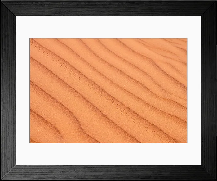 Framed Print : Sand ripples and beetle tracks on the dunes of Erg Chebbi on the Sahara Desert, Merzouga, Errachidia, Morocco