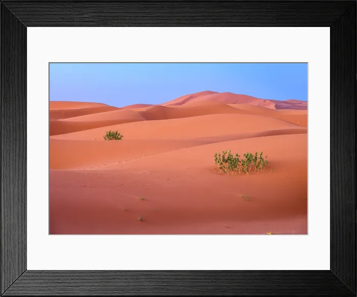 Framed Print : The dunes at Erg Chebbi on the Sahara desert, Merzouga, Errachidia, Morocco Framed Print : The dunes at Erg Chebbi on the Sahara desert, Merzouga, Errachidia, Morocco