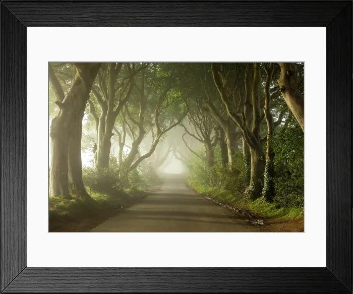 Framed Print : The Dark Hedges, Ballymoney, Northern Ireland, UK Framed Print : The Dark Hedges, Ballymoney, Northern Ireland, UK
