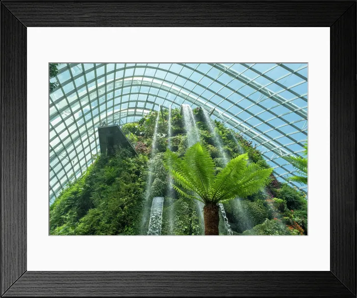 Framed Print : Cloud Forest, Gardens by the Bay, Singapore Framed Print : Cloud Forest, Gardens by the Bay, Singapore