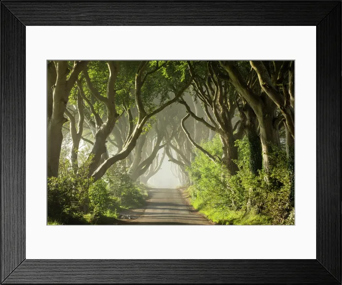 Framed Print : The Dark Hedges, Ballymoney, Northern Ireland, UK Framed Print : The Dark Hedges, Ballymoney, Northern Ireland, UK