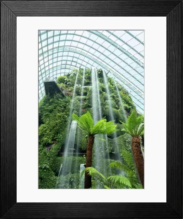 Framed Print : Cloud Forest, Gardens by the Bay, Singapore Framed Print : Cloud Forest, Gardens by the Bay, Singapore