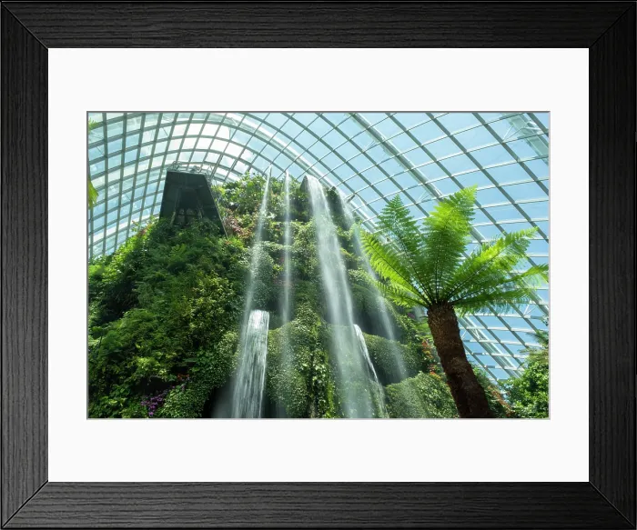Framed Print : Cloud Forest, Gardens by the Bay, Singapore Framed Print : Cloud Forest, Gardens by the Bay, Singapore