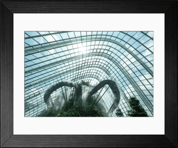 Framed Print : Cloud Forest, Gardens by the Bay, Singapore Framed Print : Cloud Forest, Gardens by the Bay, Singapore