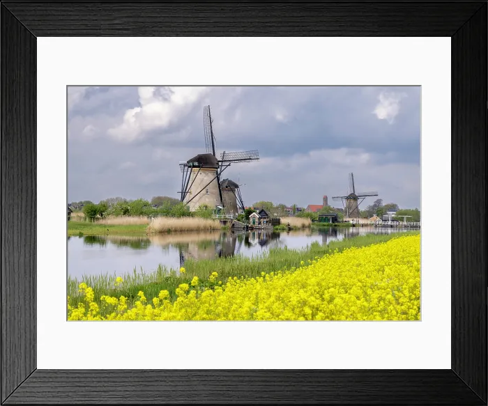 Framed Print : Kinderdijk windmills, South Holland, the Netherlands Framed Print : Kinderdijk windmills, South Holland, the Netherlands
