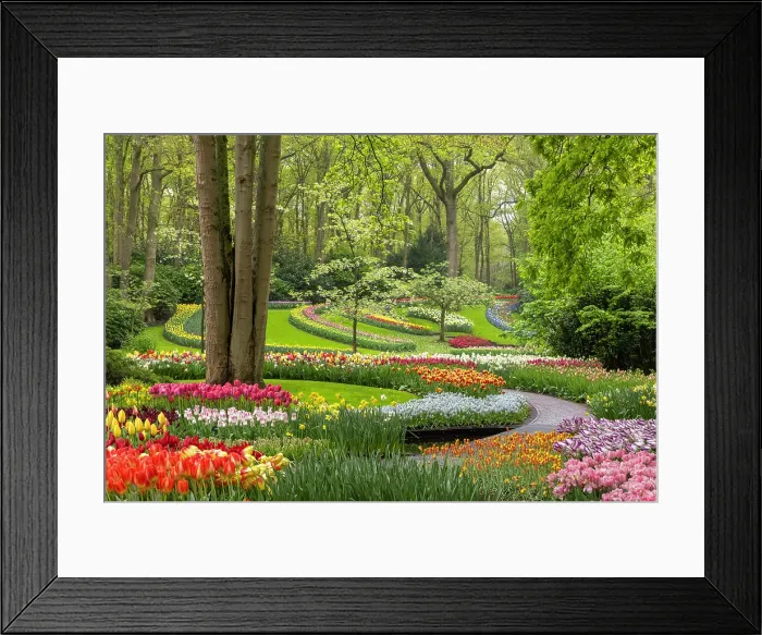 Framed Print : Keukenhof Botanical Garden, Lisse, North Holland, Netherlands Framed Print : Keukenhof Botanical Garden, Lisse, North Holland, Netherlands