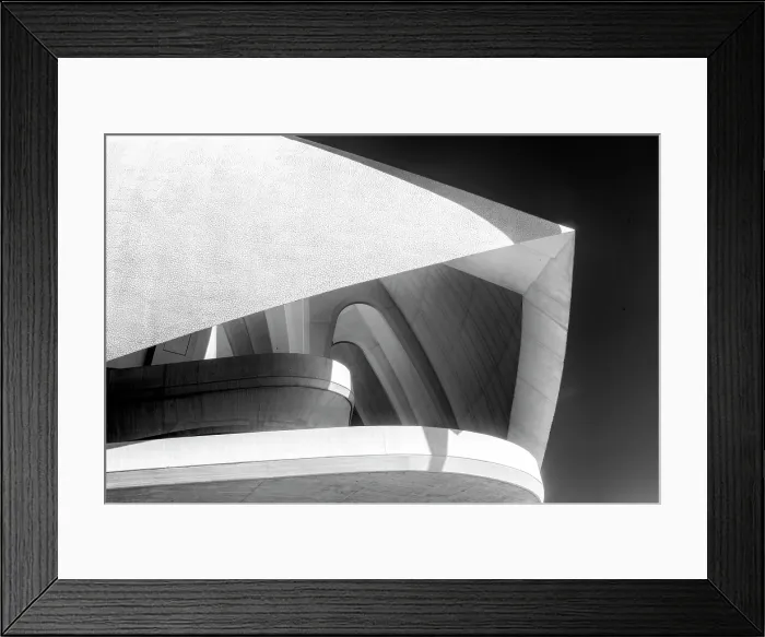 Framed Print : Palau de les Arts Reina Sofia (Queen Sofia Palace of the Arts), Ciudad de los artes y ciencias (City of Arts and Sciences), Valencia, Spain Framed Print : Palau de les Arts Reina Sofia (Queen Sofia Palace of the Arts), Ciudad de los artes y ciencias (City of Arts and Sciences), Valencia, Spain