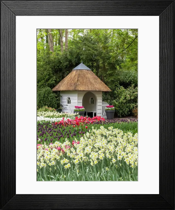 Framed Print : Keukenhof Botanical Garden, Lisse, North Holland, Netherlands Framed Print : Keukenhof Botanical Garden, Lisse, North Holland, Netherlands