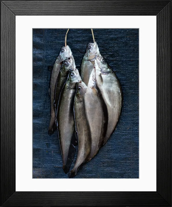 Framed Print : Fresh fish, Inle Lake, Myanmar (Burma), Asia Framed Print : Fresh fish, Inle Lake, Myanmar (Burma), Asia