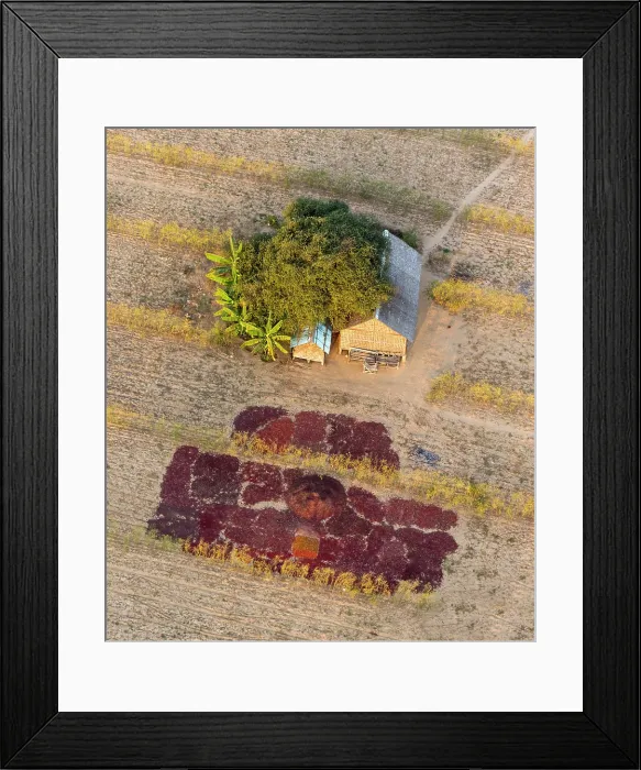 Framed Print : Aeria view of a small farm with chillies drying in the sun, Bagan, Mandalay Region, Myanmar (Burma), Asia Framed Print : Aeria view of a small farm with chillies drying in the sun, Bagan, Mandalay Region, Myanmar (Burma), Asia