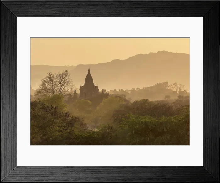 Framed Print : Temple among trees and undergrowth at sunset, Bagan (UNESCO World Heritage Site), Mandalay region, Myanmar (Burma), Asia Framed Print : Temple among trees and undergrowth at sunset, Bagan (UNESCO World Heritage Site), Mandalay region, Myanmar (Burma), Asia