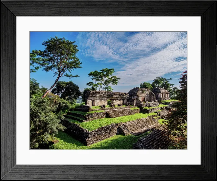 Framed Print : North Group, elevated view, Palenque Archaeological Site, Palenque, Chiapas State, Mexico Framed Print : North Group, elevated view, Palenque Archaeological Site, Palenque, Chiapas State, Mexico