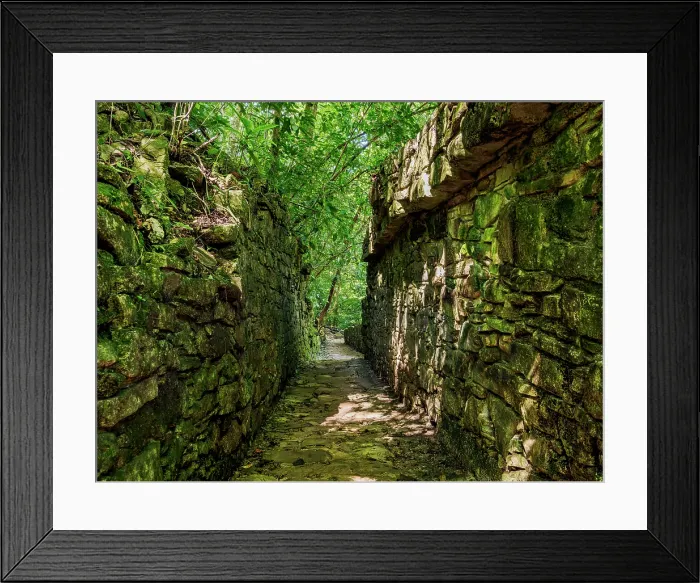 Framed Print : Bats Group, Palenque Archaeological Site, Palenque, Chiapas State, Mexico Framed Print : Bats Group, Palenque Archaeological Site, Palenque, Chiapas State, Mexico