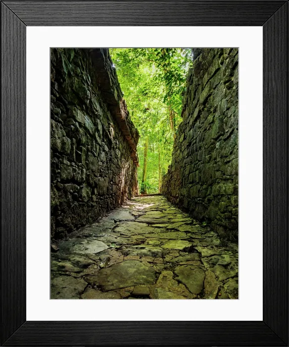 Framed Print : Bats Group, Palenque Archaeological Site, Palenque, Chiapas State, Mexico Framed Print : Bats Group, Palenque Archaeological Site, Palenque, Chiapas State, Mexico