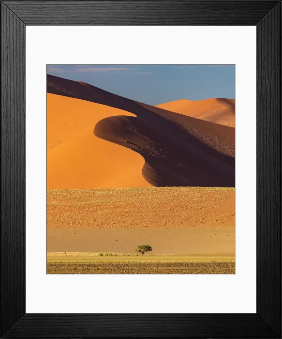 Framed Print : Towering orange sand dune with distinctive snaking ridge, Sossusvlei, Namib-Naukluft National Park, Namib Desert, Namibia Framed Print : Towering orange sand dune with distinctive snaking ridge, Sossusvlei, Namib-Naukluft National Park, Namib Desert, Namibia