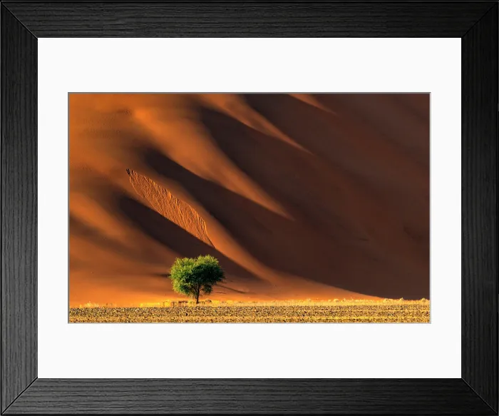 Framed Print : Golden light and shadows on a towering dand dune, Sossusvlei, Namib-Naukluft National Park, Namib Desert, Namibia Framed Print : Golden light and shadows on a towering dand dune, Sossusvlei, Namib-Naukluft National Park, Namib Desert, Namibia