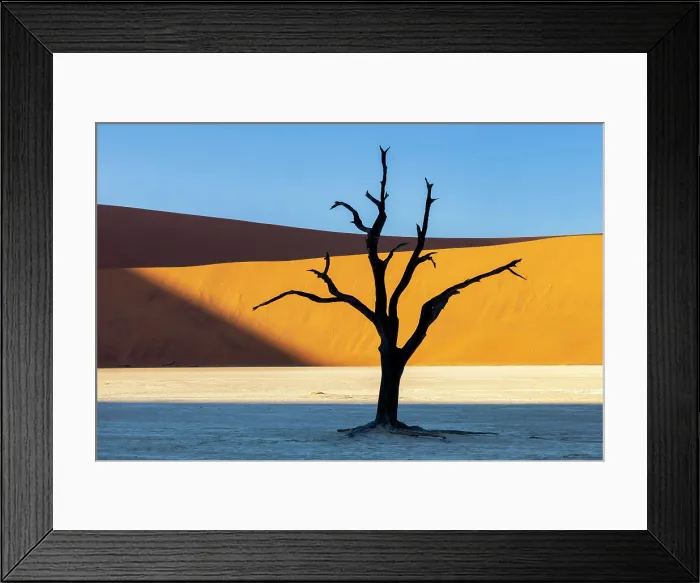 Framed Print : Dead camel thorn tree on a dried-up white mud pan and towering sand dunes, Dead Vlei, Namib-Naukluft National Park, Namib Desert, Namibia Framed Print : Dead camel thorn tree on a dried-up white mud pan and towering sand dunes, Dead Vlei, Namib-Naukluft National Park, Namib Desert, Namibia
