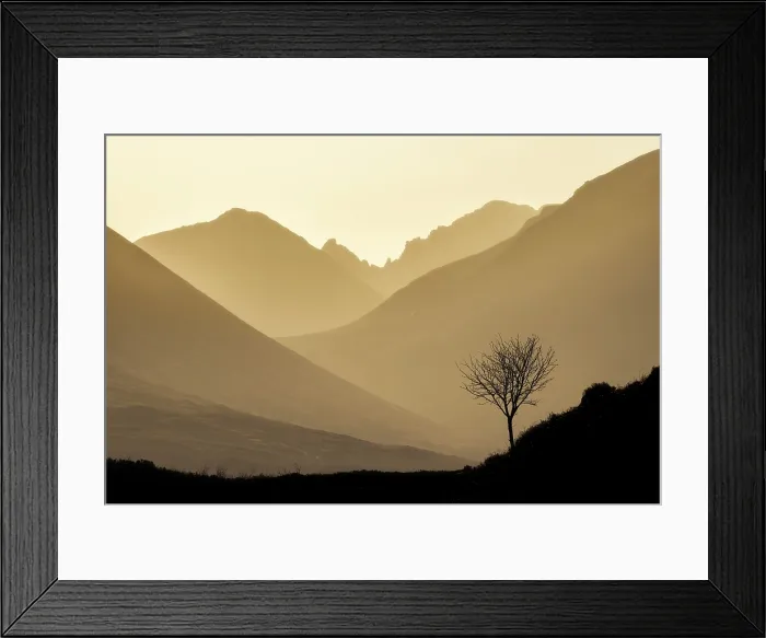 Framed Print : Lone tree and the Cuillin Hills, Glen Varragill, Isle of Skye, Scotland, UK, February 2025 Framed Print : Lone tree and the Cuillin Hills, Glen Varragill, Isle of Skye, Scotland, UK, February 2025