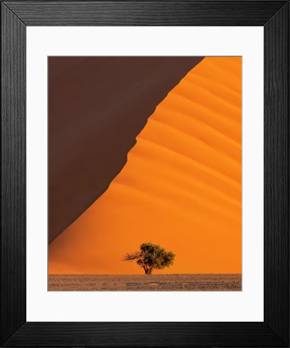 Framed Print : Towering orange sand dune (Dune 40), Sossusvlei, Namib-Naukluft National Park, Namib Desert, Namibia Framed Print : Towering orange sand dune (Dune 40), Sossusvlei, Namib-Naukluft National Park, Namib Desert, Namibia