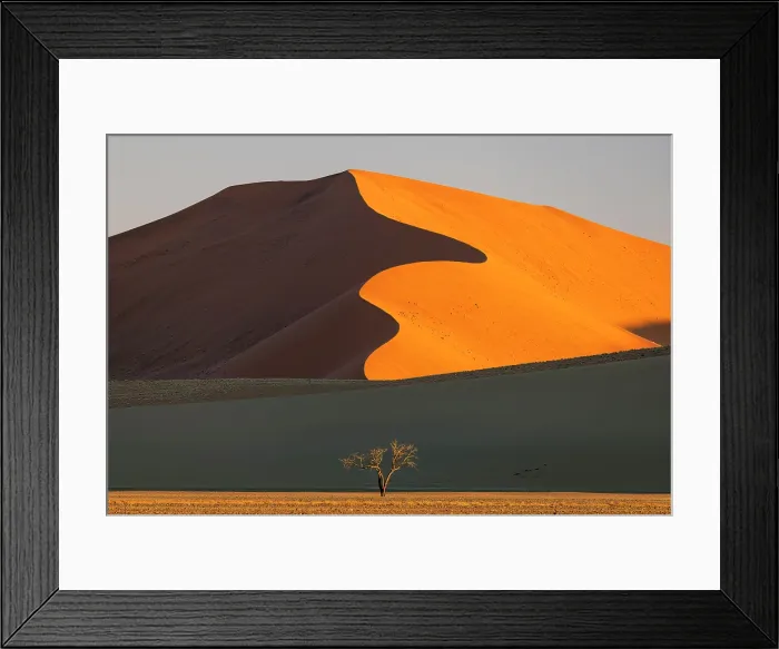 Framed Print : Towering orange sand dune with distinctive snaking ridge, Sossusvlei, Namib-Naukluft National Park, Namib Desert, Namibia Framed Print : Towering orange sand dune with distinctive snaking ridge, Sossusvlei, Namib-Naukluft National Park, Namib Desert, Namibia
