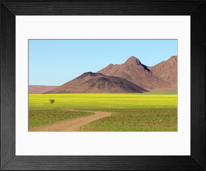 Framed Print : Landscape covered in fresh green grass after heavy rains, Namib Desert, Namib Naukluft Park, Namibia Framed Print : Landscape covered in fresh green grass after heavy rains, Namib Desert, Namib Naukluft Park, Namibia