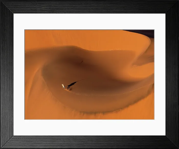 Framed Print : Aerial view of oryx running on a sand dune, Sossusvlei, Namib-Naukluft National Park, Namib Desert, Namibia Framed Print : Aerial view of oryx running on a sand dune, Sossusvlei, Namib-Naukluft National Park, Namib Desert, Namibia