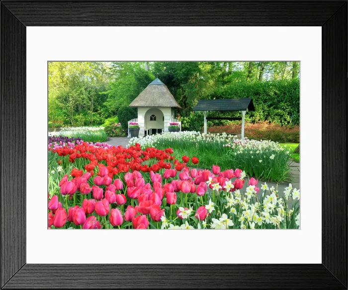 Framed Print : Keukenhof Gardens in Spring, Lisse, Holland, Netherlands