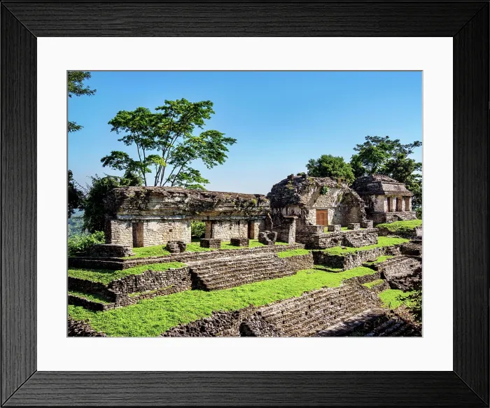 Framed Print : North Group, elevated view, Palenque Archaeological Site, Palenque, Chiapas State, Mexico Framed Print : North Group, elevated view, Palenque Archaeological Site, Palenque, Chiapas State, Mexico