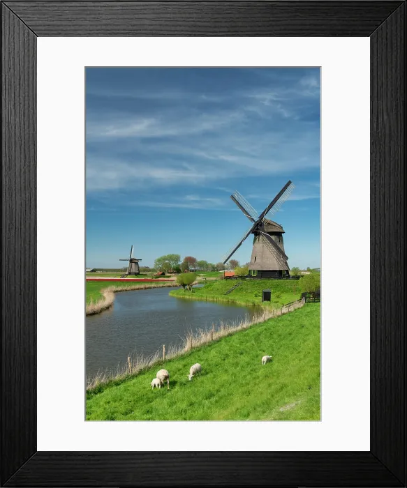 Framed Print : Windmills along Molendijk, Schermerhorn, Holland, Netherlands Framed Print : Windmills along Molendijk, Schermerhorn, Holland, Netherlands