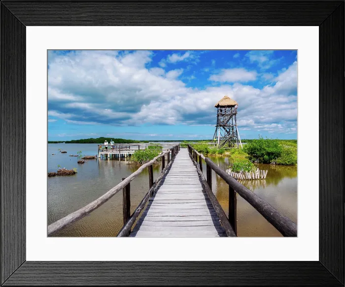 Framed Print : Lagoon Observation Tower at Punta Sur, Cozumel Island, Quintana Roo State, Mexico