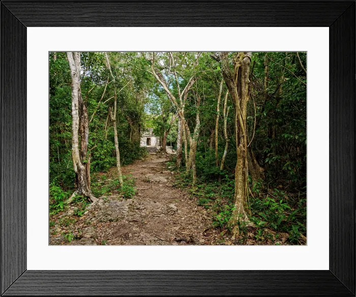 Framed Print : Forest pathway towards Templo Nohoch Nah, Big House Temple, San Gervasio Archaeological Site, Cozumel Island, Quintana Roo State, Mexico Framed Print : Forest pathway towards Templo Nohoch Nah, Big House Temple, San Gervasio Archaeological Site, Cozumel Island, Quintana Roo State, Mexico