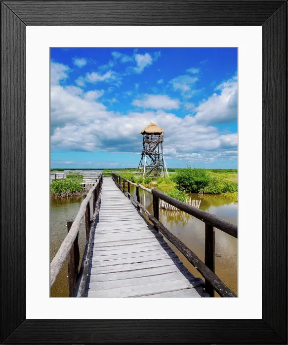 Framed Print : Lagoon Observation Tower at Punta Sur, Cozumel Island, Quintana Roo State, Mexico
