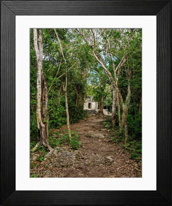 Framed Print : Forest pathway towards Templo Nohoch Nah, Big House Temple, San Gervasio Archaeological Site, Cozumel Island, Quintana Roo State, Mexico Framed Print : Forest pathway towards Templo Nohoch Nah, Big House Temple, San Gervasio Archaeological Site, Cozumel Island, Quintana Roo State, Mexico