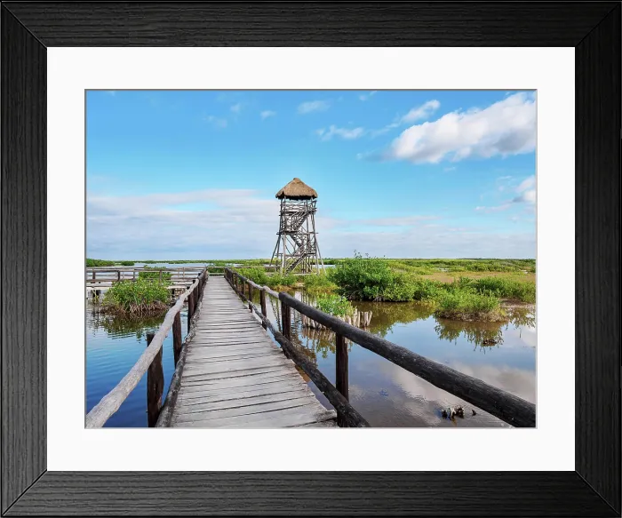 Framed Print : Lagoon Observation Tower at Punta Sur, Cozumel Island, Quintana Roo State, Mexico