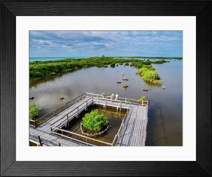 Framed Print : Lagoon Observation Deck at Punta Sur, elevated view, Cozumel Island, Quintana Roo State, Mexico