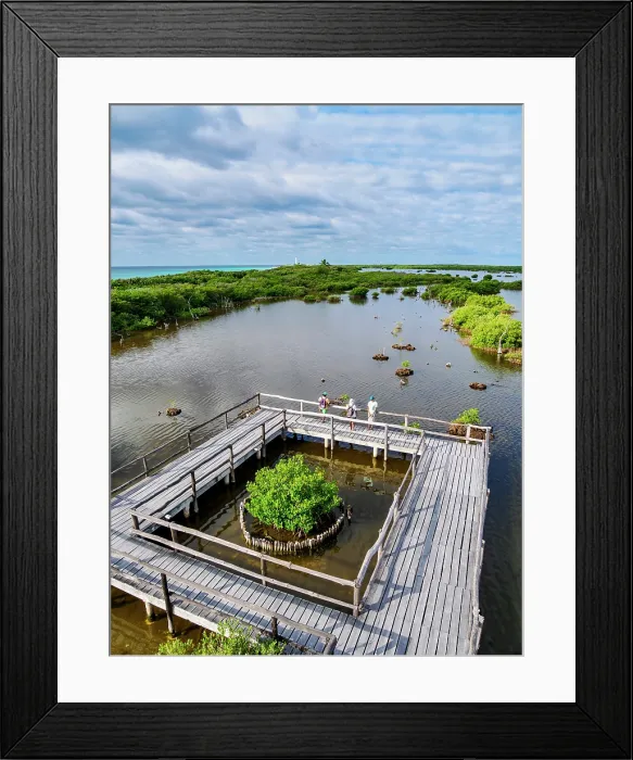 Framed Print : Lagoon Observation Deck at Punta Sur, elevated view, Cozumel Island, Quintana Roo State, Mexico Framed Print : Lagoon Observation Deck at Punta Sur, elevated view, Cozumel Island, Quintana Roo State, Mexico