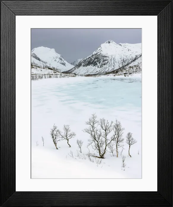 Framed Print : Winter scene of snow covered mountains and trees near Bergsbotn, Senja, Norway