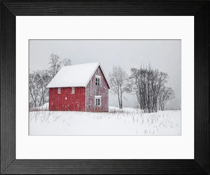 Framed Print : Red timber rorbu (cabin) in the snow, Bergsbotn, Senja, Norway Framed Print : Red timber rorbu (cabin) in the snow, Bergsbotn, Senja, Norway