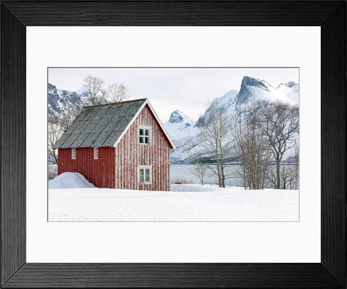 Framed Print : Red timber rorbu (cabin) in the snow, Bergsbotn, Senja, Norway Framed Print : Red timber rorbu (cabin) in the snow, Bergsbotn, Senja, Norway