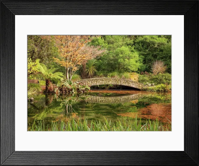 Framed Print : Pond and stone bridge in Christchurch Botanical Gardens, Christchurch, South Island, New Zealand. Autumn (May) 2025 Framed Print : Pond and stone bridge in Christchurch Botanical Gardens, Christchurch, South Island, New Zealand. Autumn (May) 2025